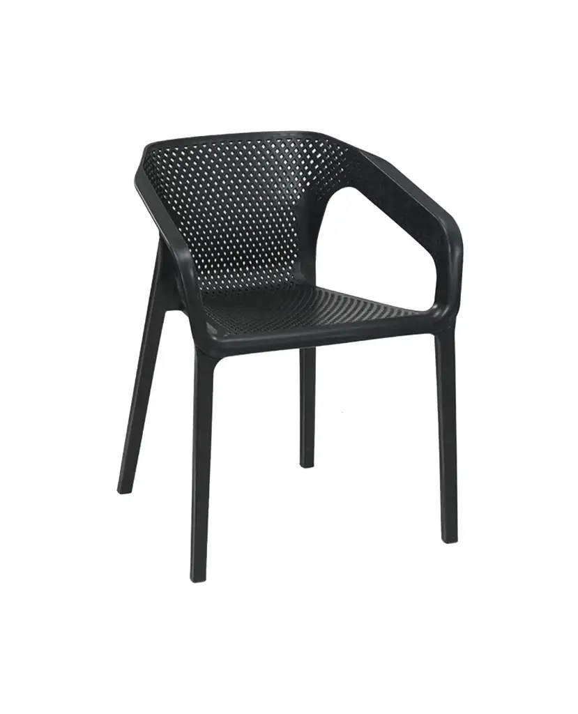 Stylee Cafe Arm Chair BLK/LG
